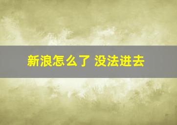 新浪怎么了 没法进去